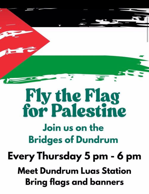Fly the Flag For Palestine - Dundrum Bridge